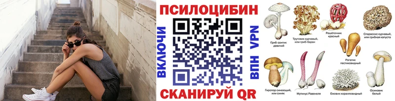 Галлюциногенные грибы прущие грибы  Берёзовка 